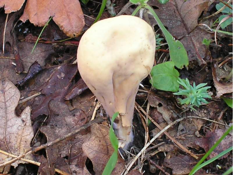 ritrovamenti attesi..